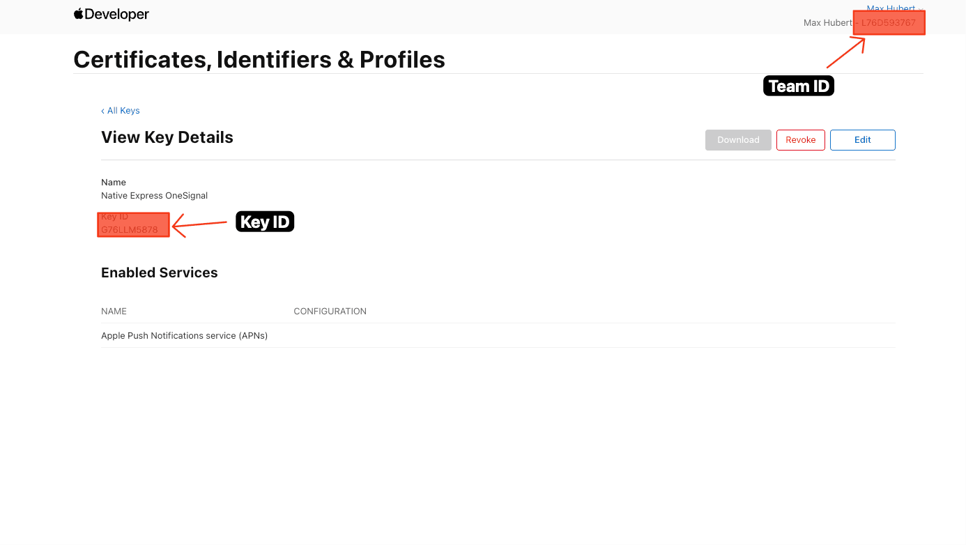 The Key ID and Team ID shown in the Apple Developer portal's Keys section